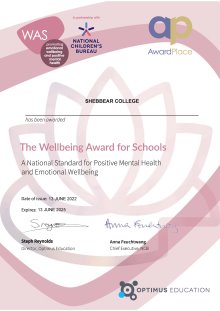 The Wellbeing Award for Schools